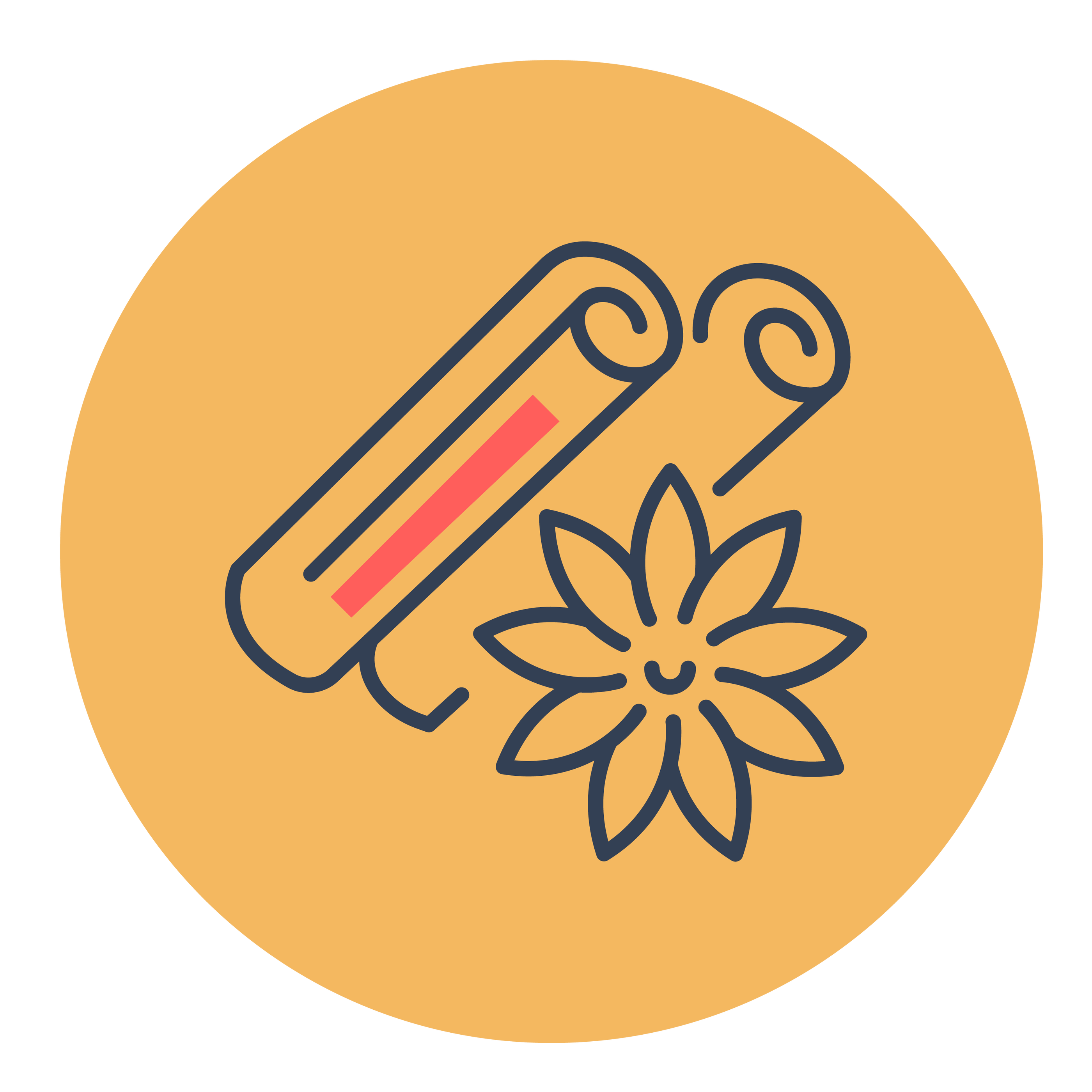 Rooibos Chai