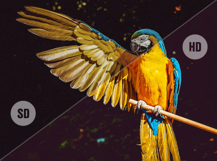 32" HD Ready LED televízor