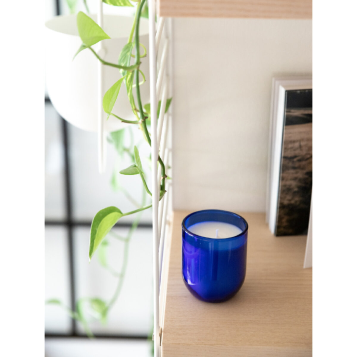 Sójová svíčka modrá