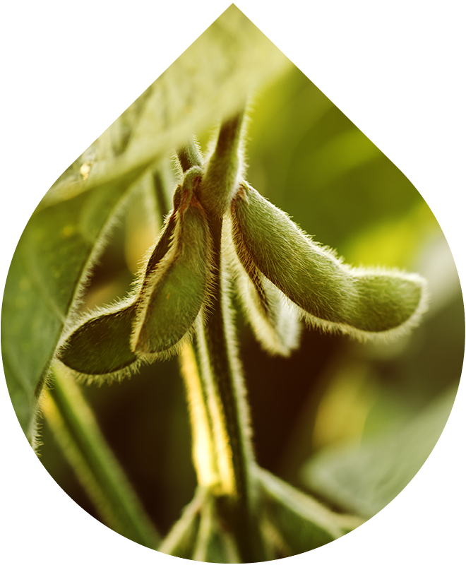 Náhradná náplň Tonizačná hmla na tvár 100 ml + 20 ml GRATIS REFORMULACE