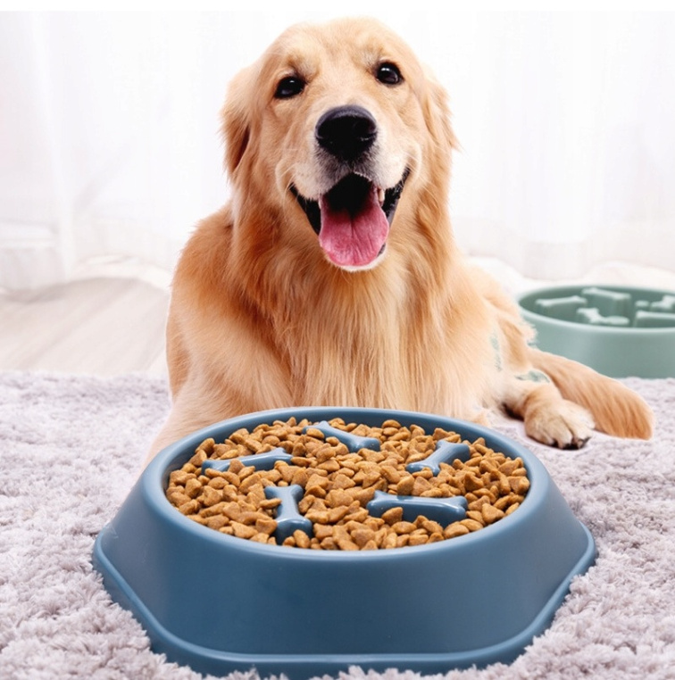 Spomaľovacia miska pre psov