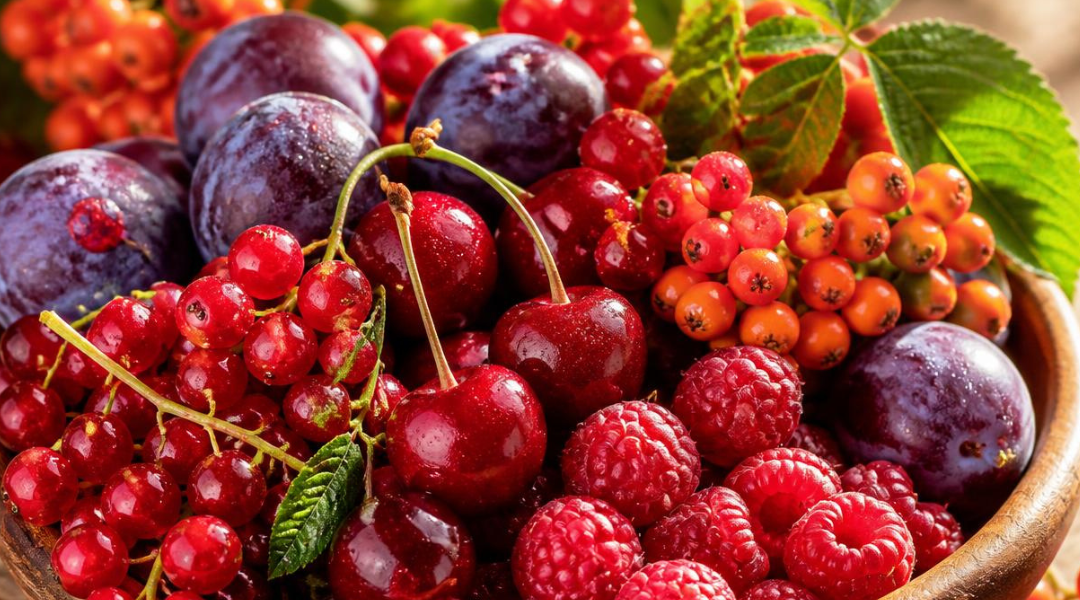 Prémiové džemy – degustační sada 5