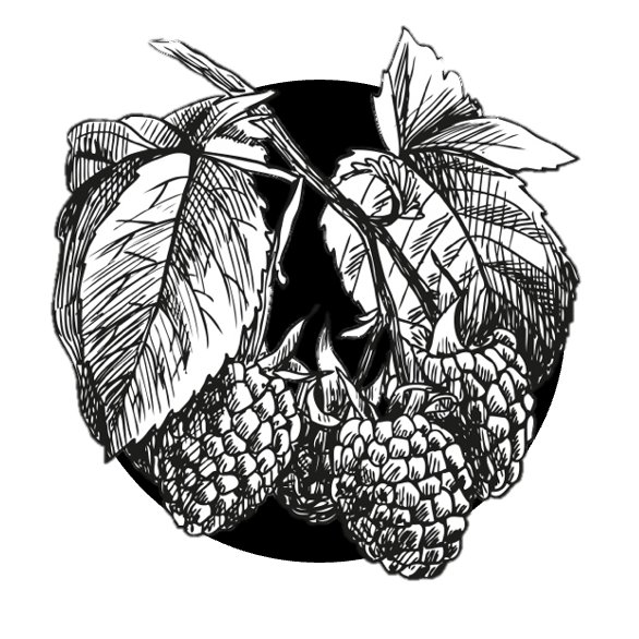 Farmárska debnička Z našich lesov