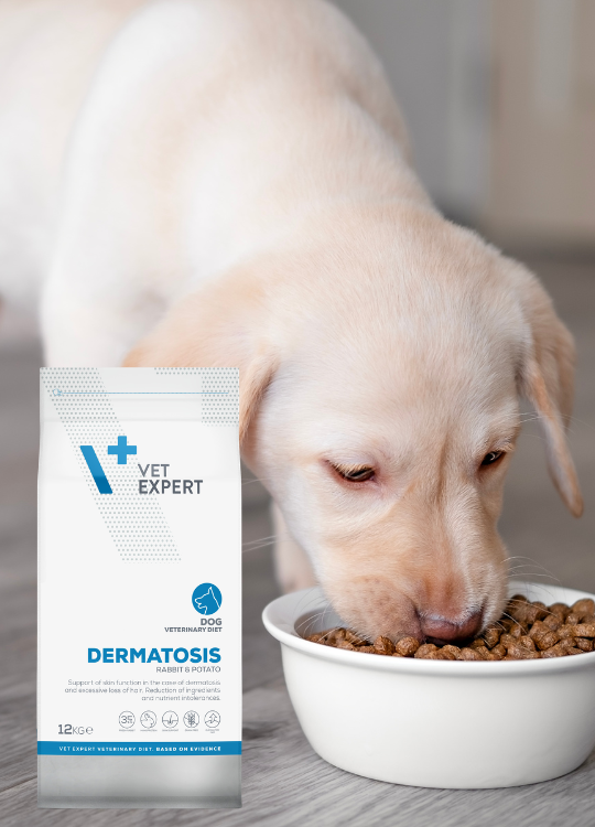 DERMATOSIS DOG králík a brambory - suché veterinární krmivo pro psy