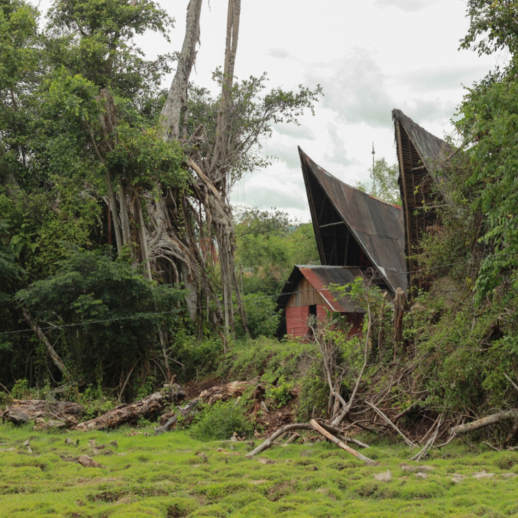 Andaliman : Korenie z krajiny ľudožrútov.