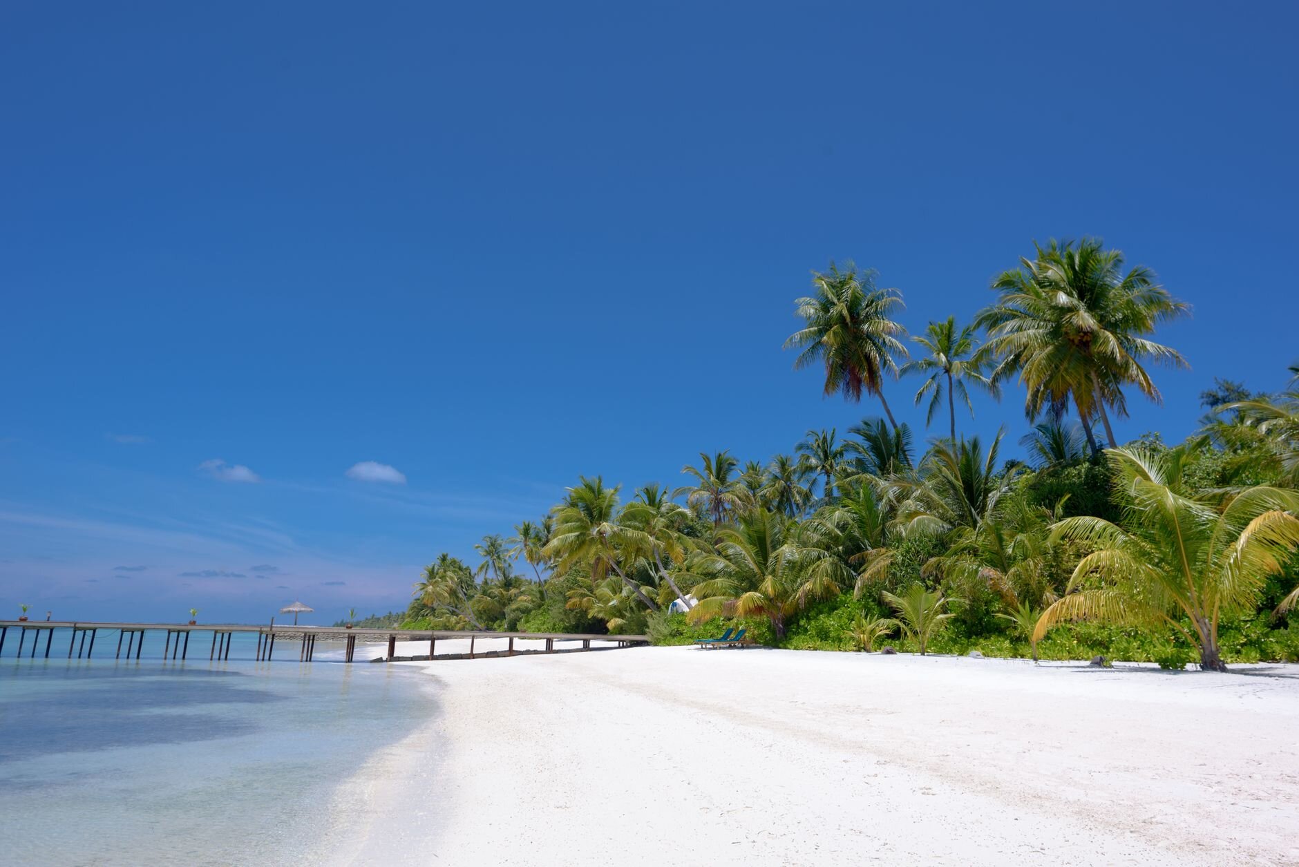 Knihkupectví Love Island