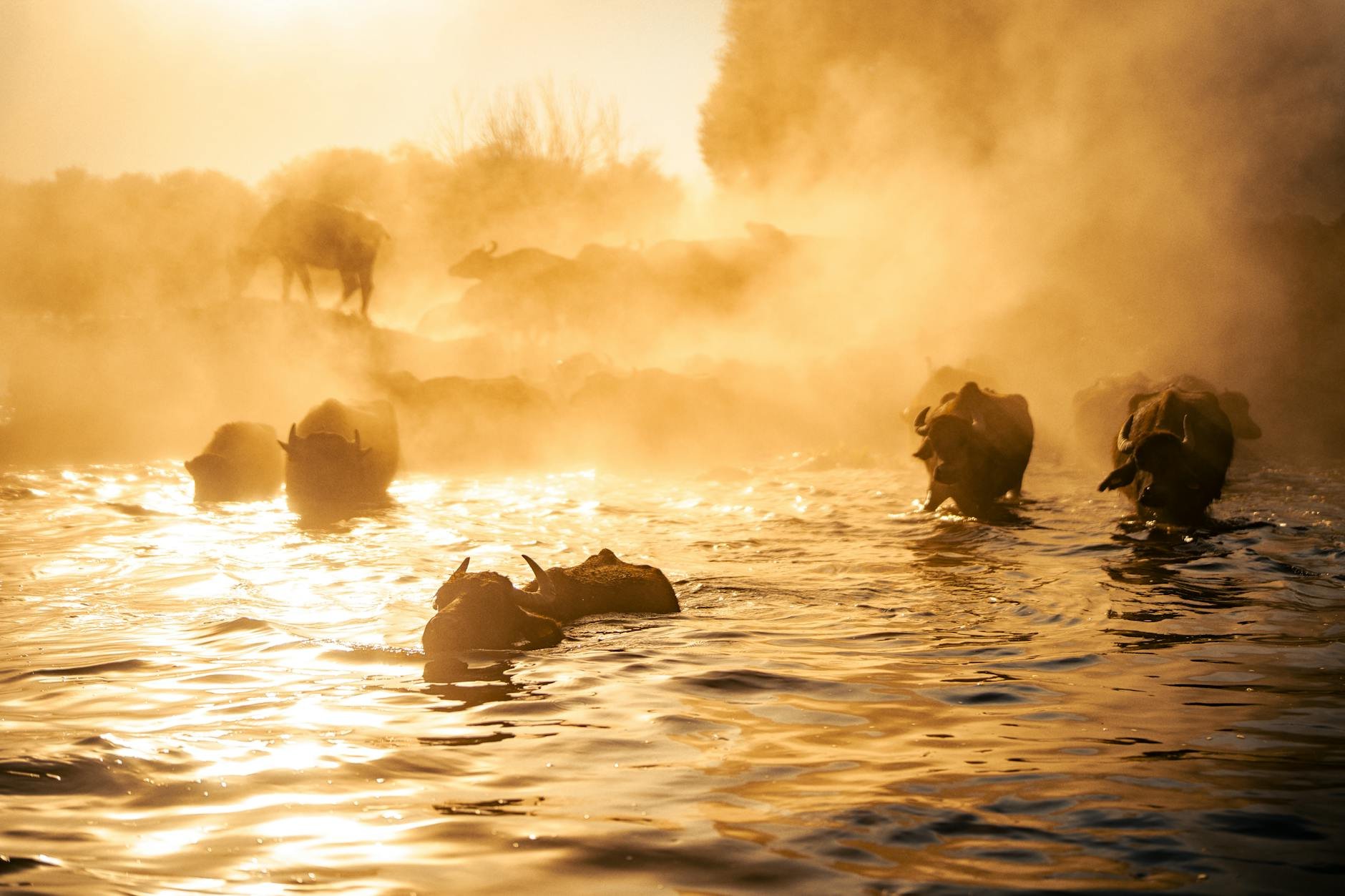 Okamžiky v přírodě