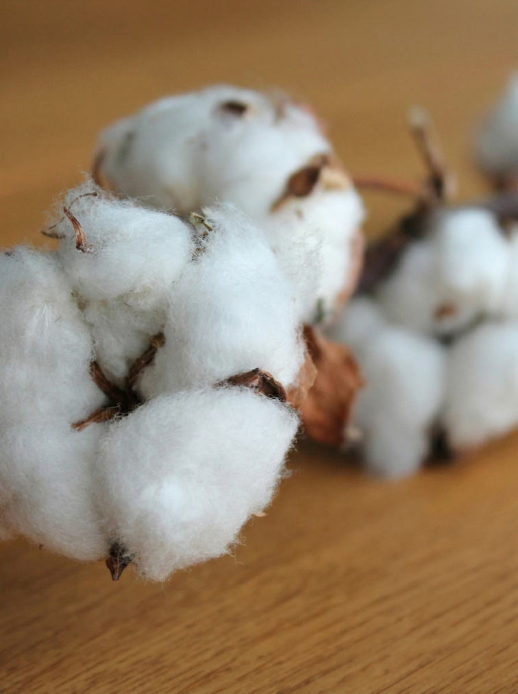 Manduca Twist Grey-Mint