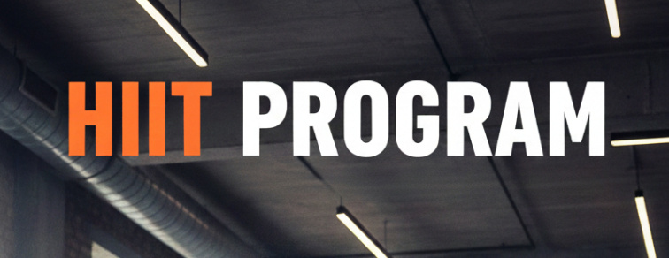 Eliptical Schwinn 510E