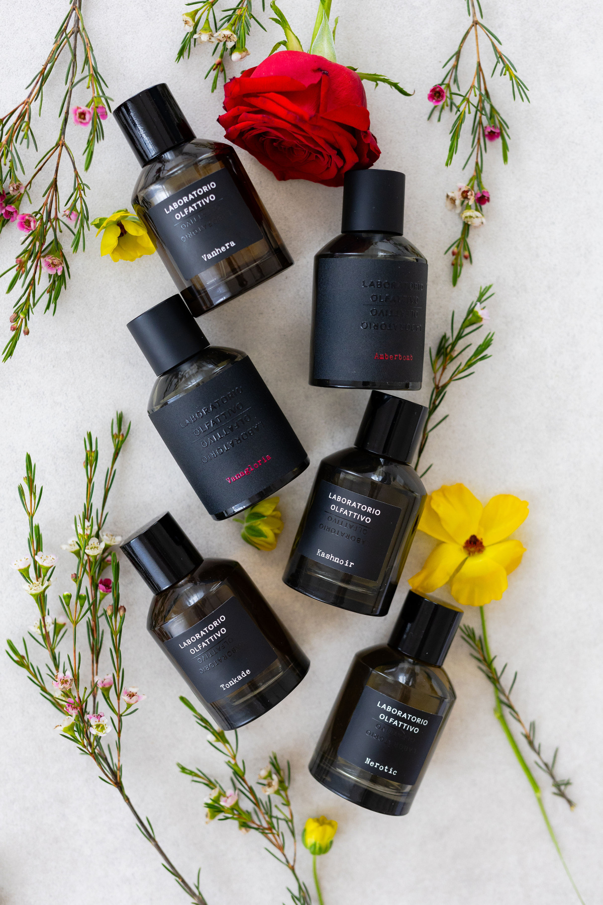 LABORATORIO OLFATTIVO Kashnoir