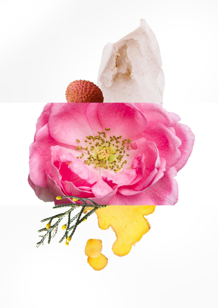 Essential Parfums ROSE MAGNETIC