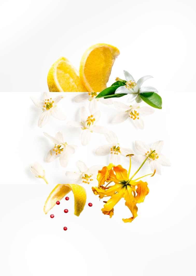 Essential Parfums NICE BERGAMOTE