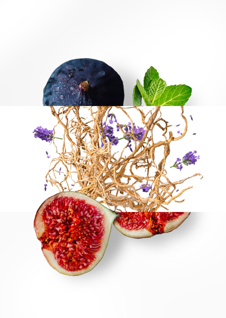 Essential Parfums FIG INFUSION