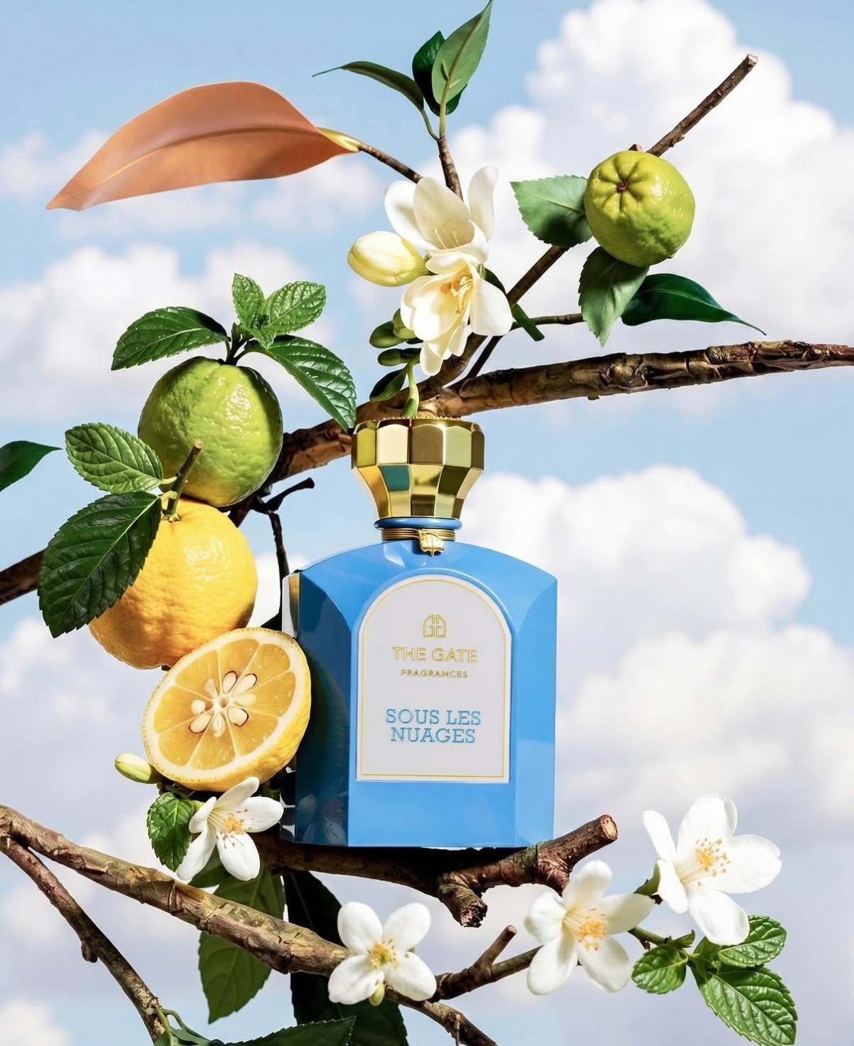 THE GATE FRAGRANCES Sous Les Nuages