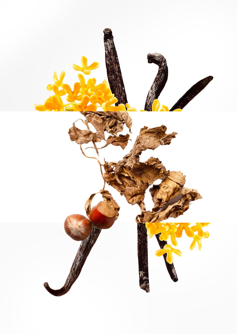 Essential Parfums PATCHOULI MANIA