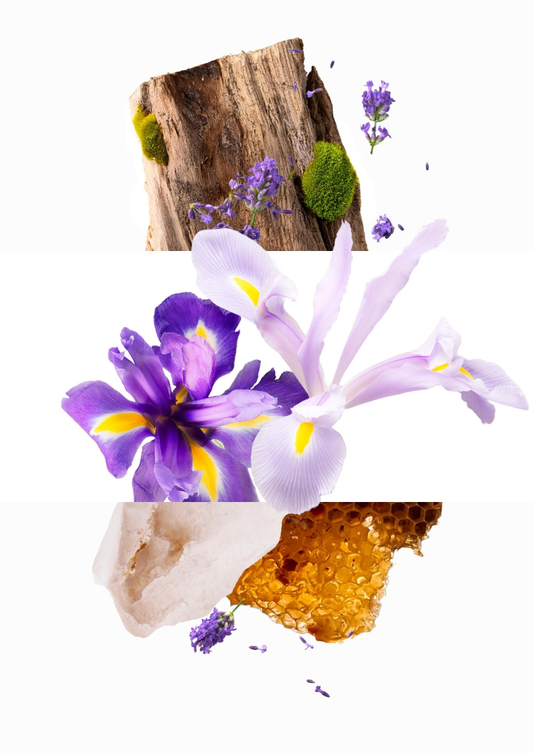 Essential Parfums THE MUSC