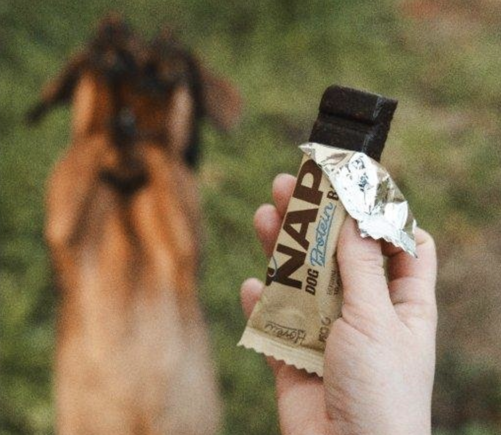 NAP psí proteinová tyčinka - hovězí 50 g