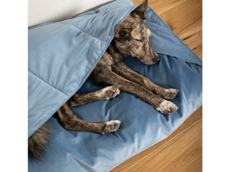 Pelíšek pro psy Lebeddie Jeskyně bez ovčí vlny světlemodrá