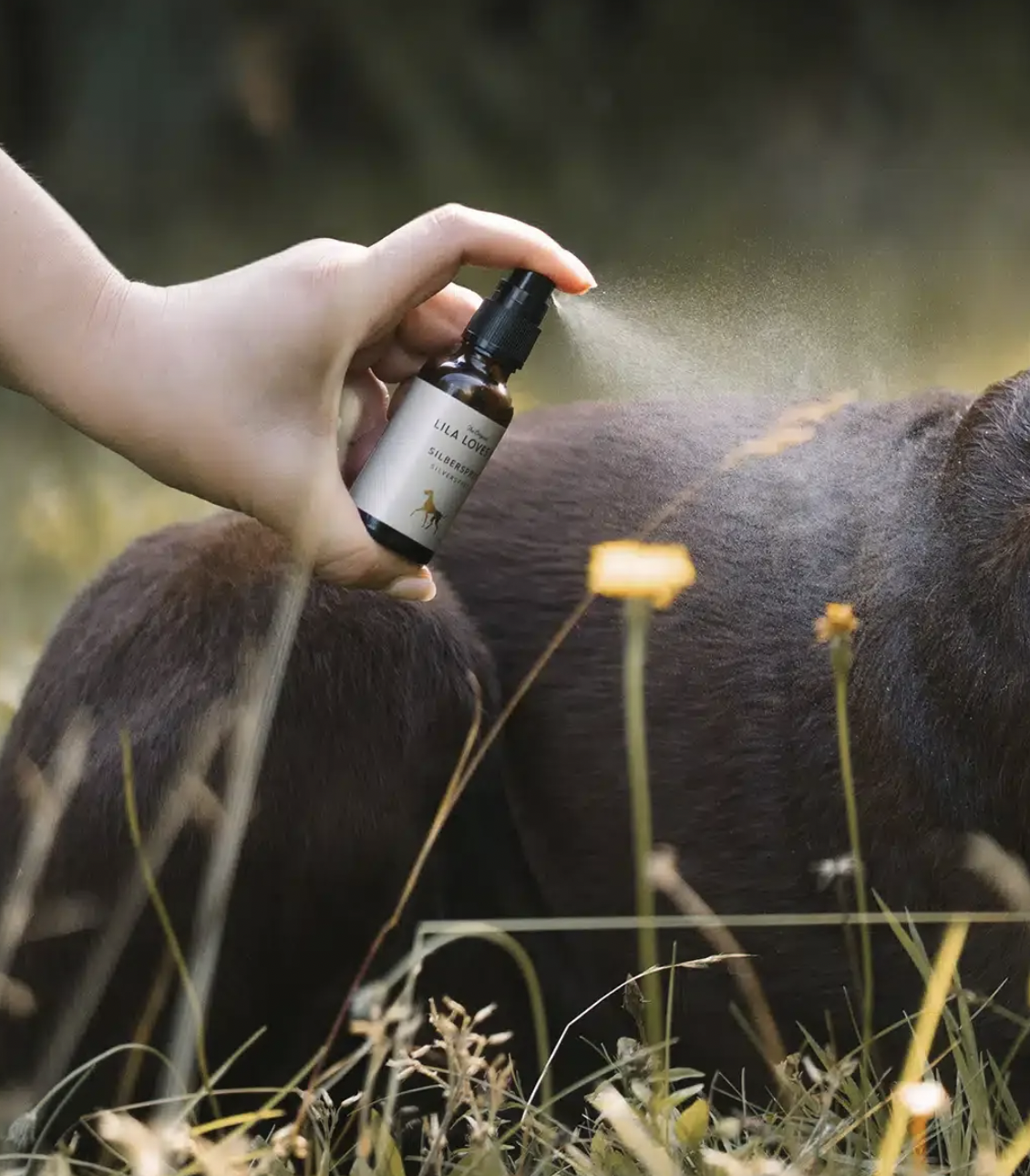 LILA LOVES IT Stříbrný sprej na zranění