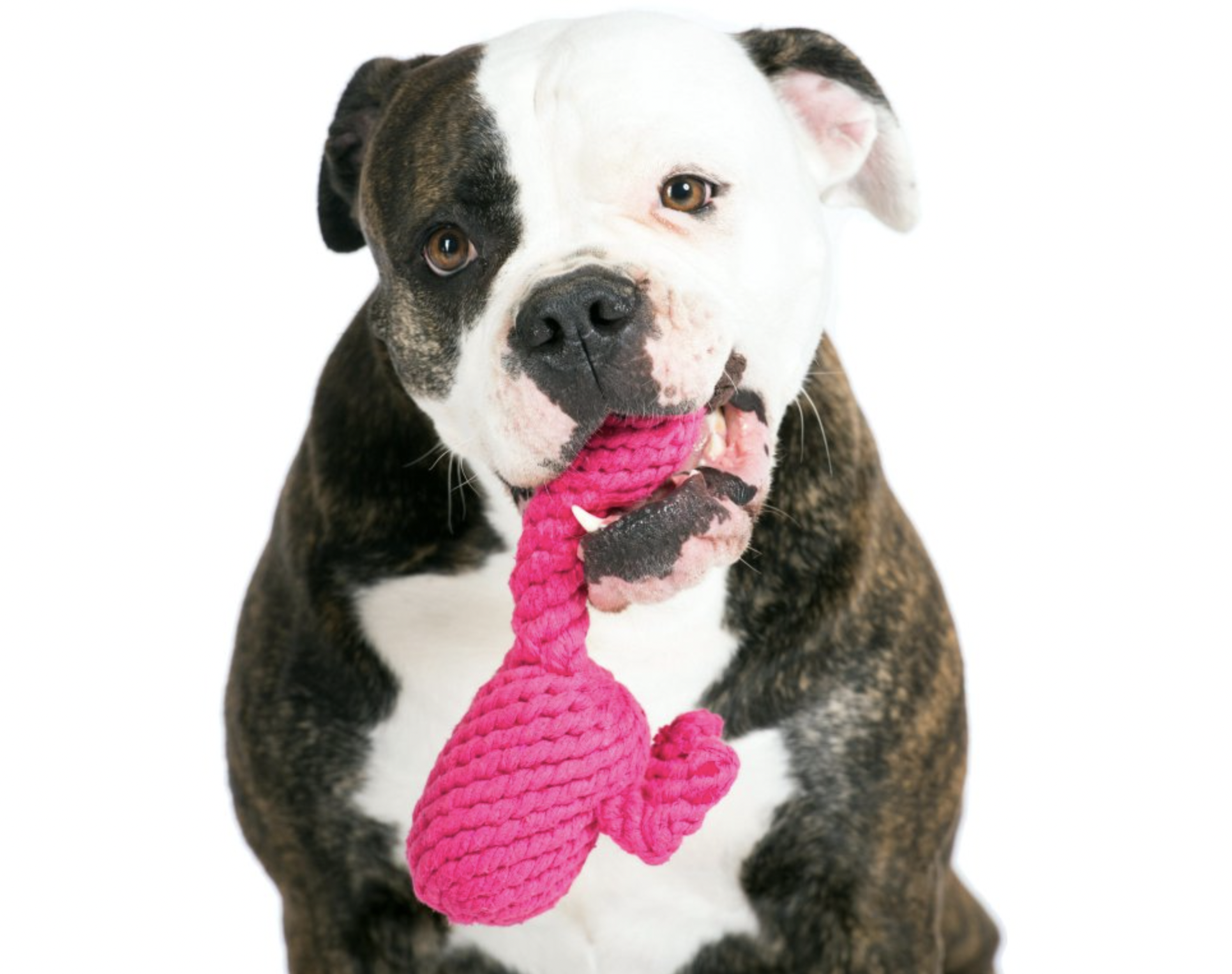 Hračka pro psy LABONI plameňák Franzi