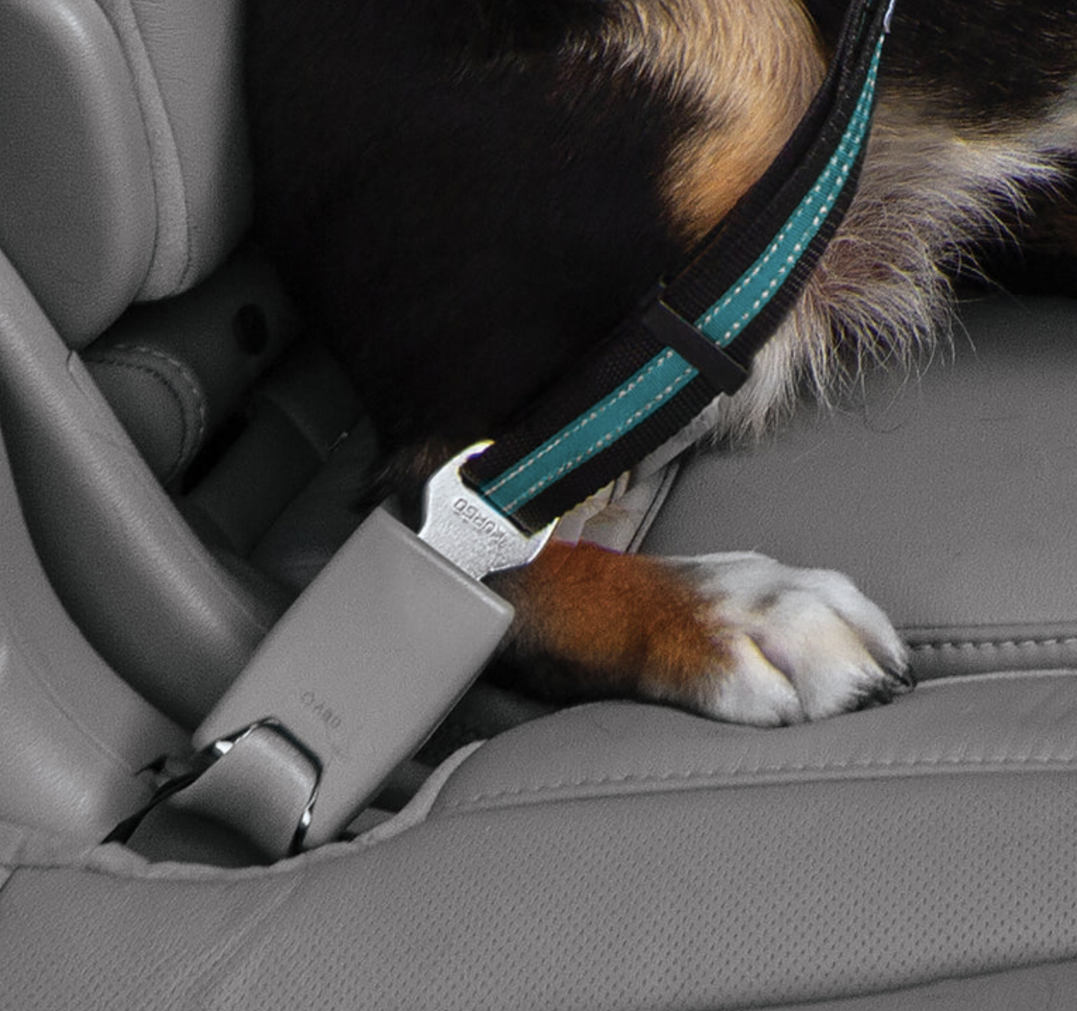 !!!Kurgo Bezpečnostní autopás pro psy s upínacím mechanismem Direct to Seat Belt Swivel Tether modrý