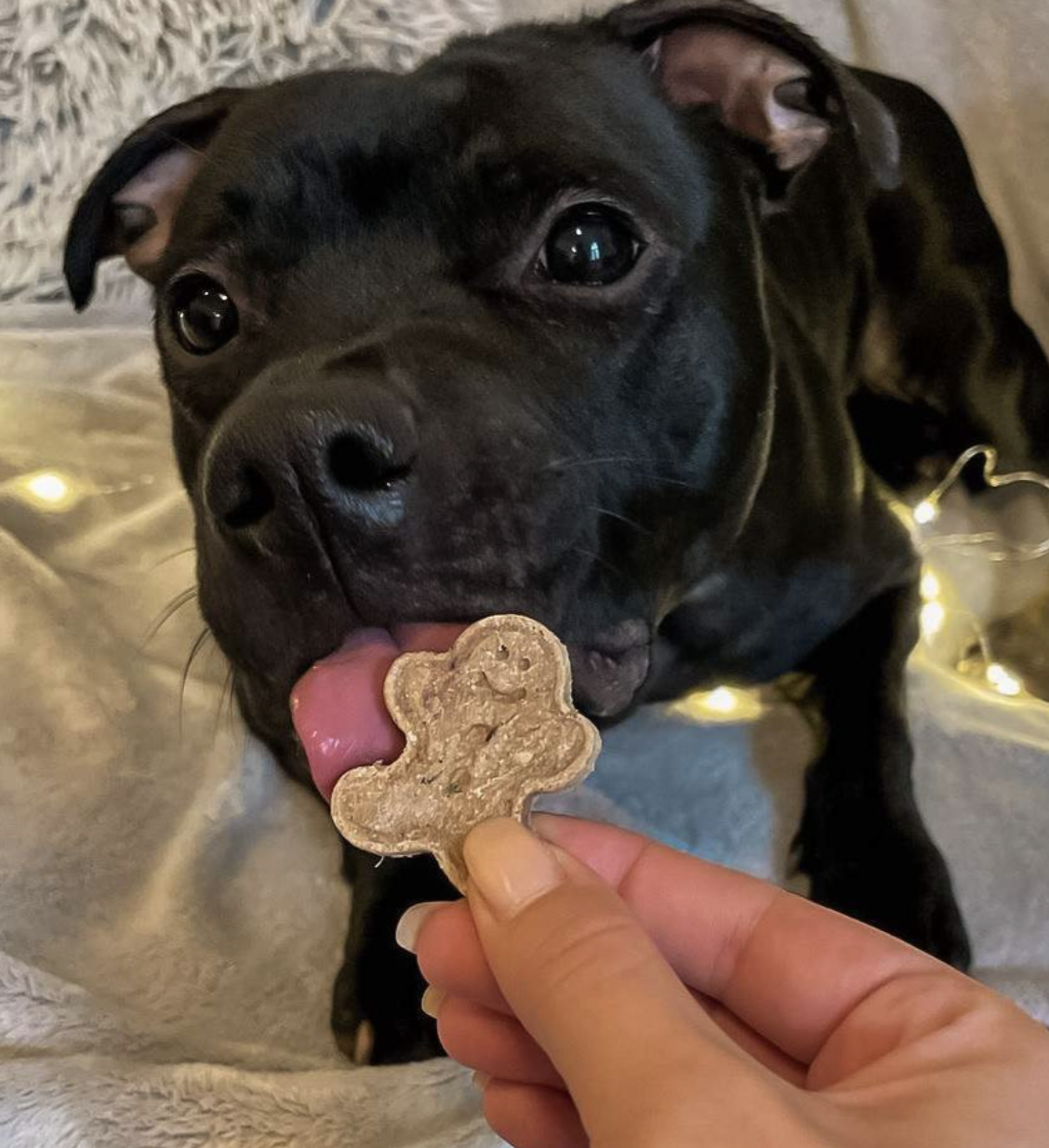 !!!Zolly Vánoční cukroví 420 g