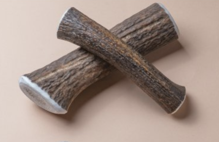 Jelení paroh pro psy