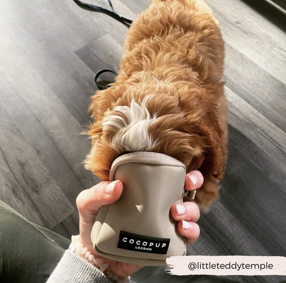 Kapsička na pamlsky CocoPup Caramel Latte