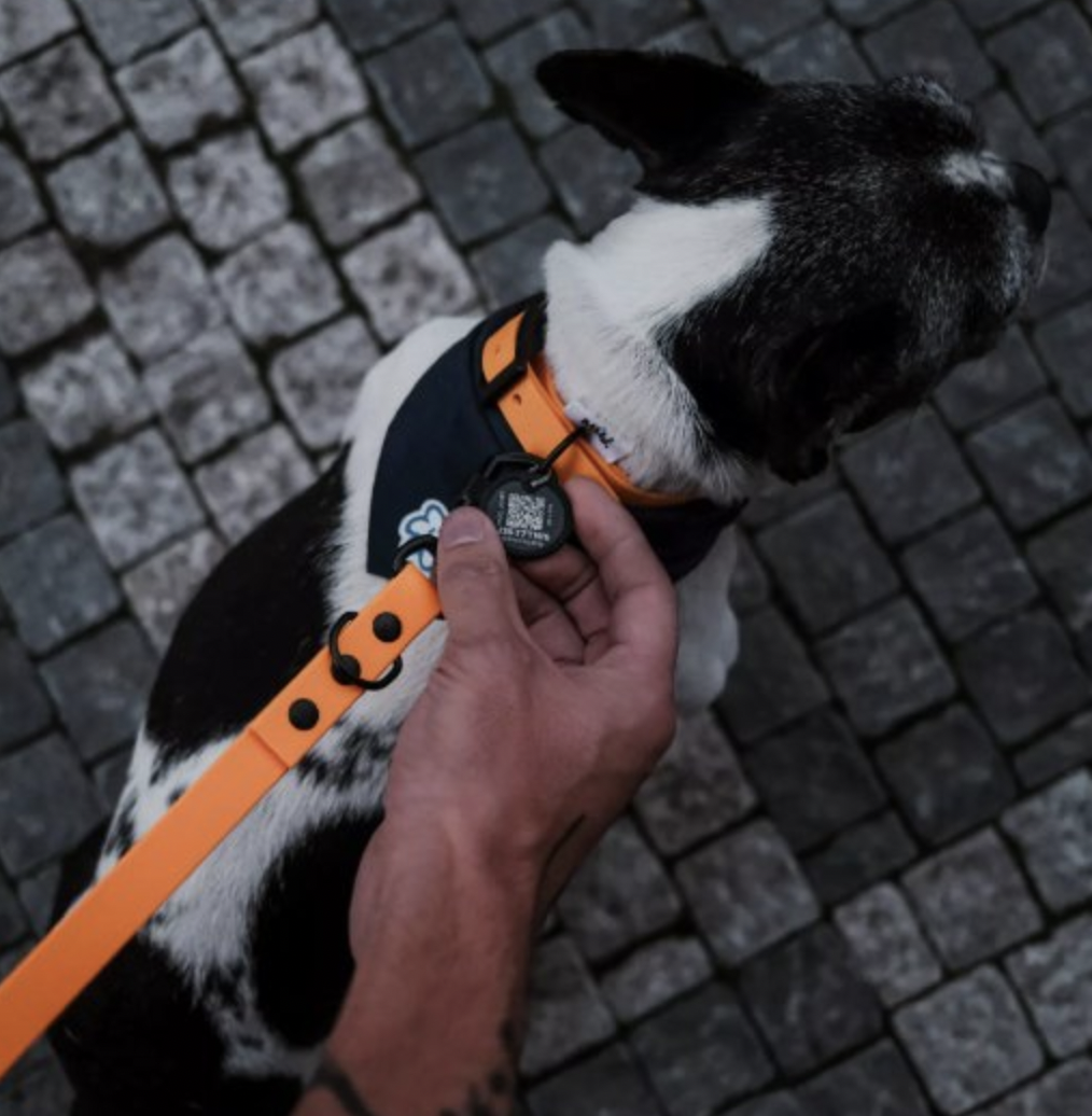 Chytrá psí známka MŮJDOG