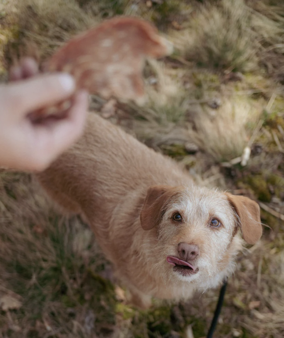 Masíčka Krůti prsa Čumák 100g