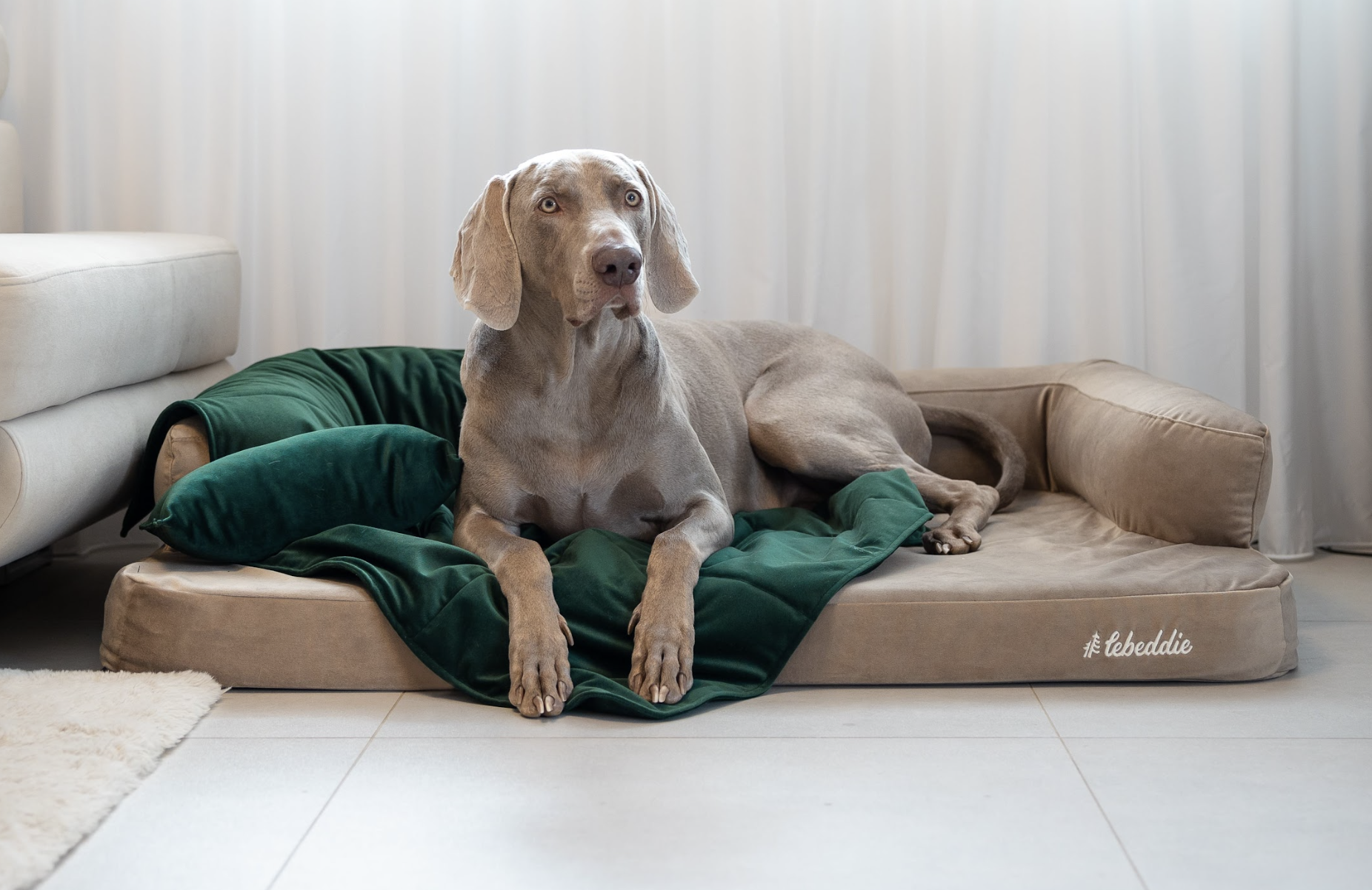 Deka Lebeddie zelená s ovčí vlnou