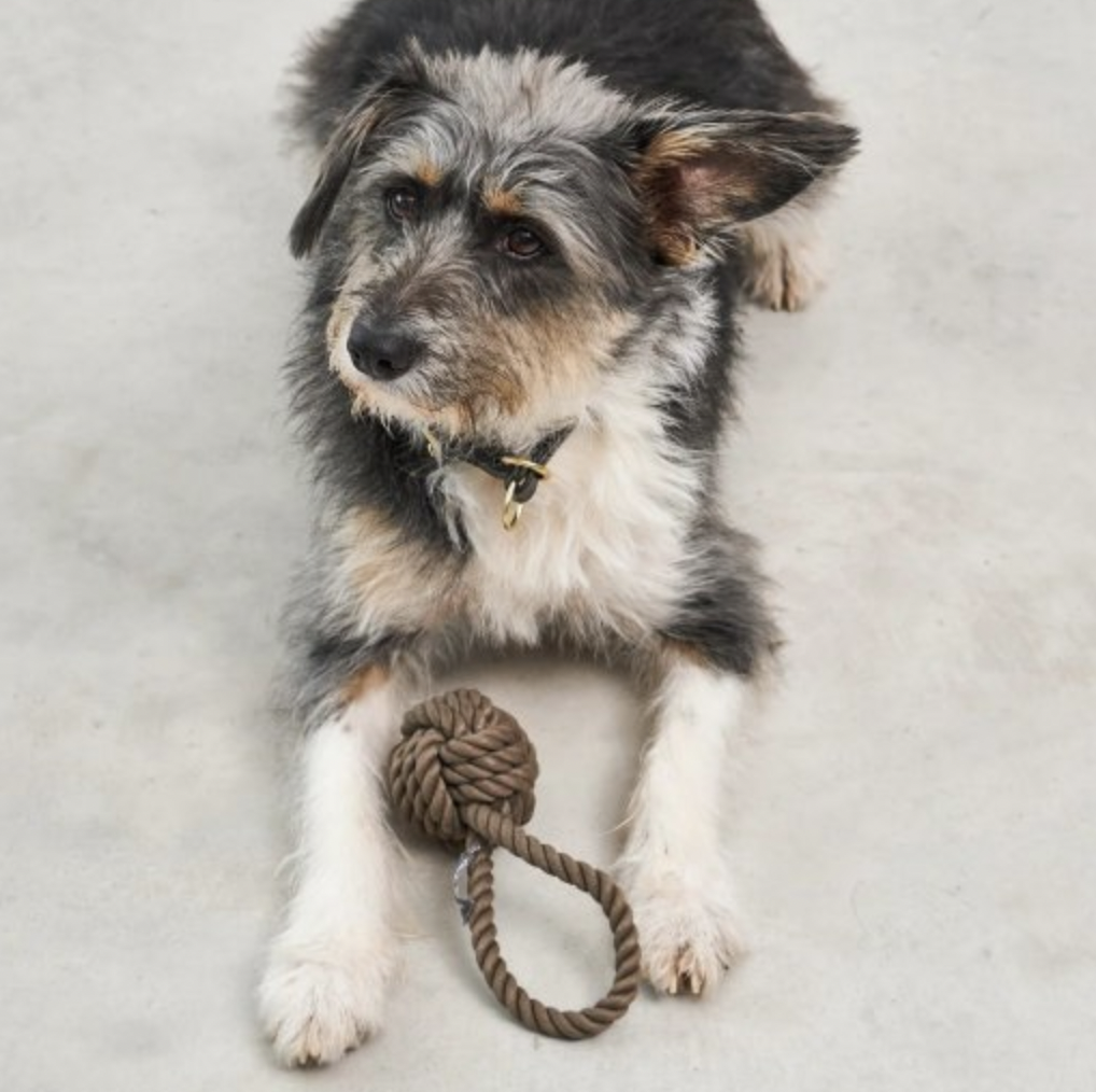 !!!Lanová hračka pro psy MiaCara Nodo chocolate