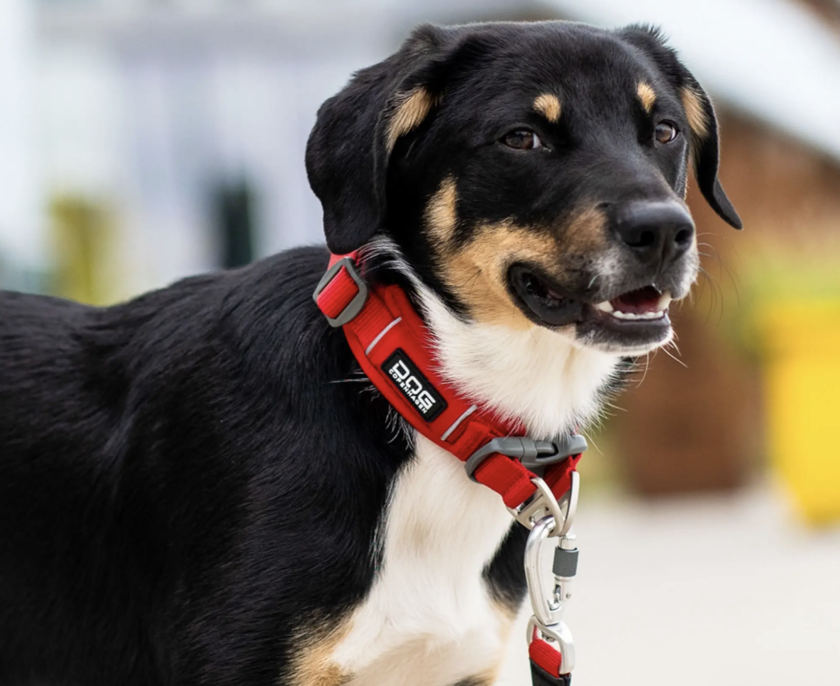 !!!Obojek DOG Copenhagen Urban explorer béžový