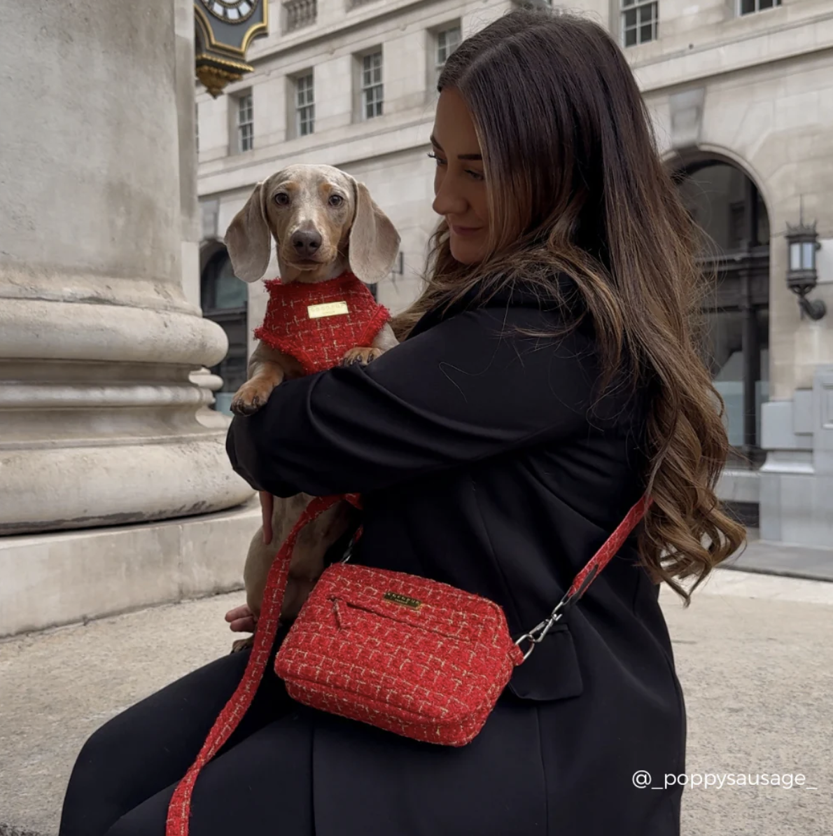 !!!Popruh na pamlskovník CocoPup – Tweed Red