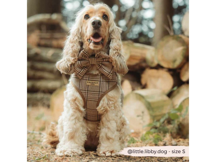 Nastavitelný postroj Cocopup Pup Plaid