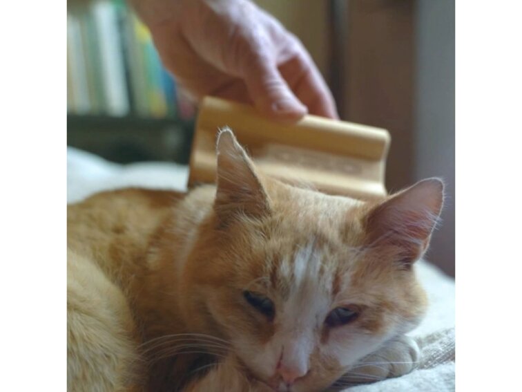 !!!Zooro Grooming Tool pomůcka pro vyčesání krátké srsti malých psů, koček a králíků