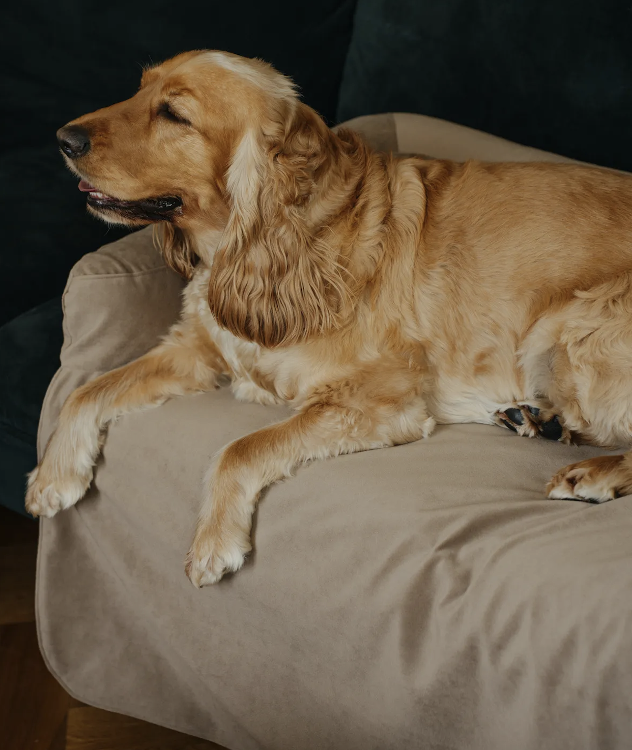 Pelíšek Lebeddie na pohovku Sofedo hnědá