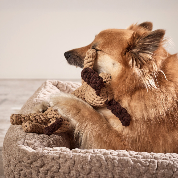 !!!Hračka pro psy LABONI Doggy Dog