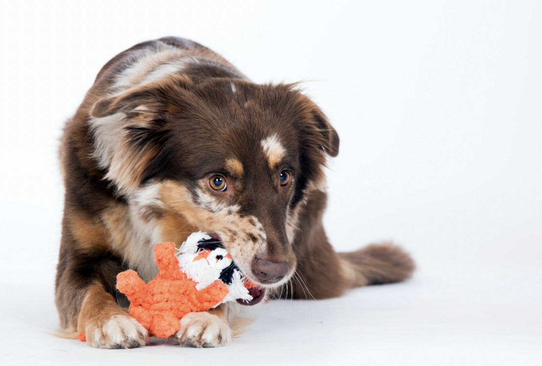 Hračka pro psy LABONI tygr Timothy