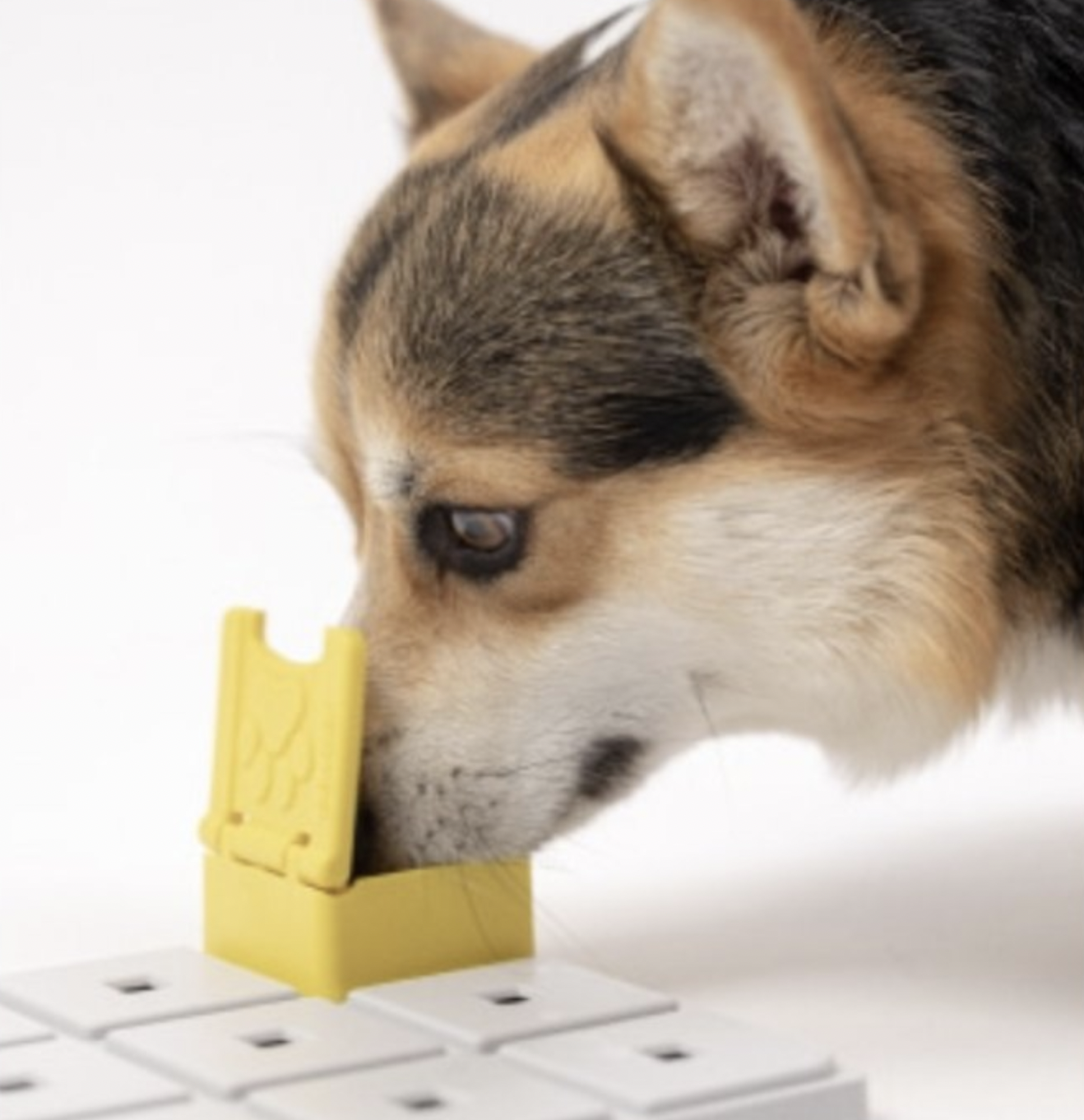 !!!Pawzler Hrací deska