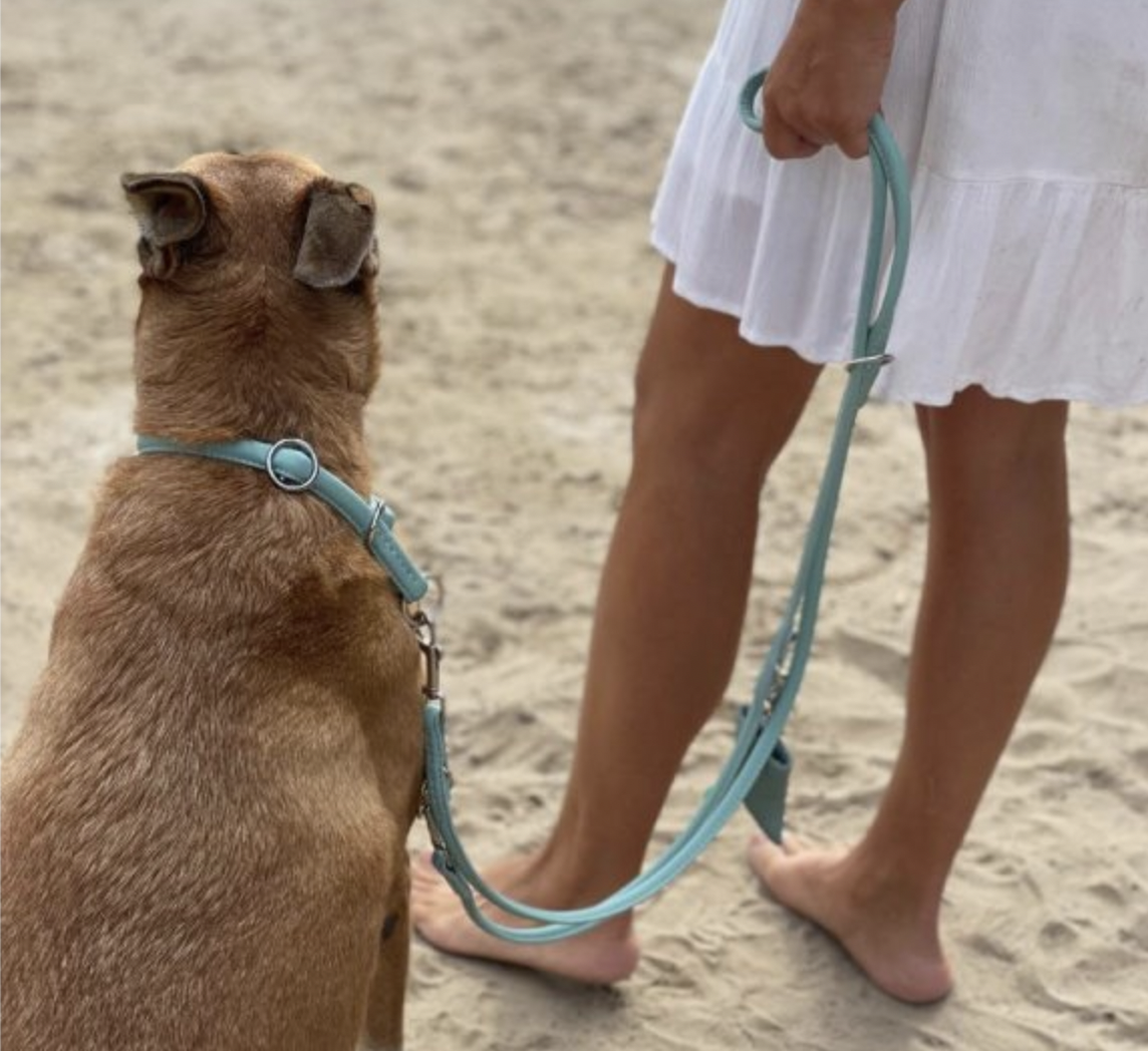 Kožené vodítko kulaté mint/stříbrné kování