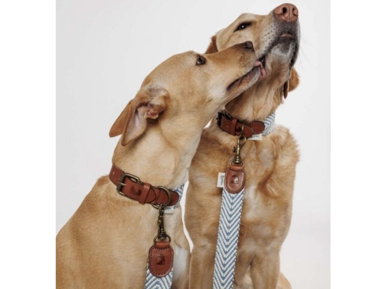 !!!Vodítko Buddys Portixol modré nastavitelné