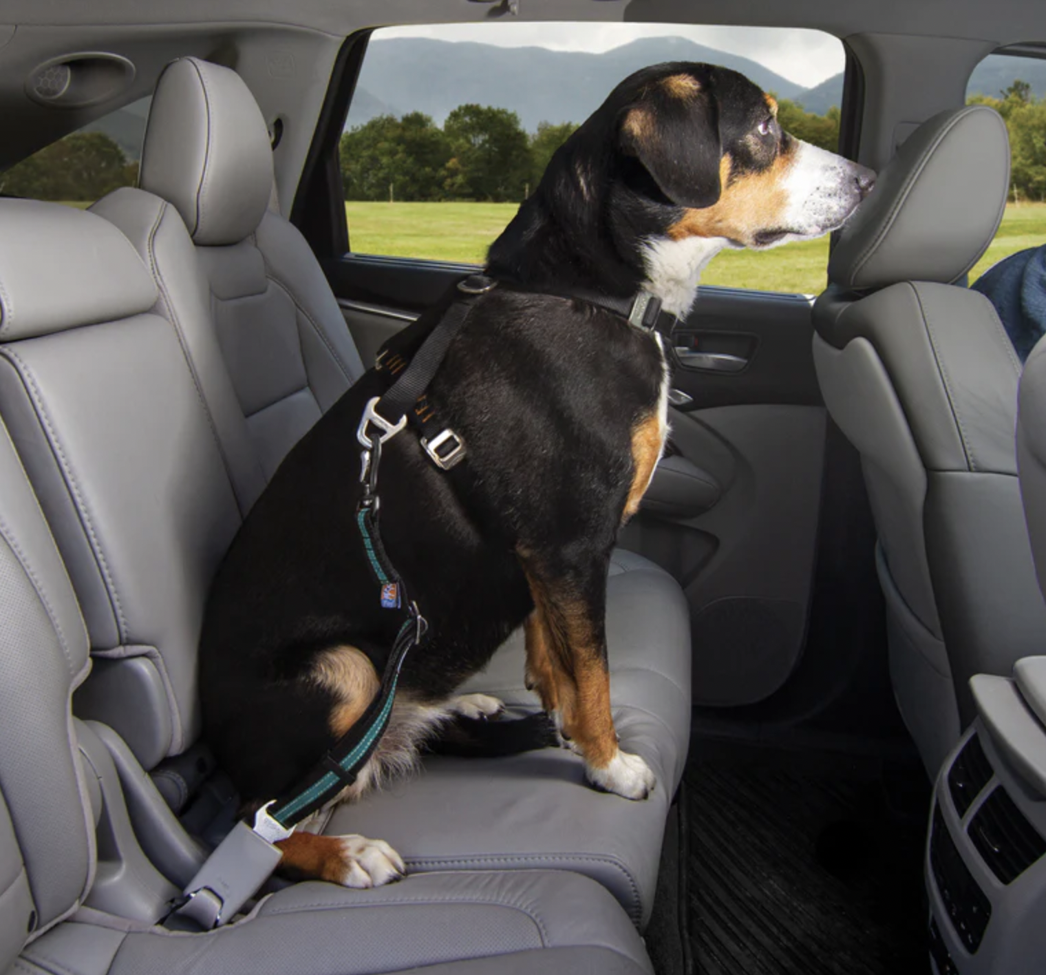 !!!Kurgo Bezpečnostní autopás pro psy s upínacím mechanismem Direct to Seat Belt Swivel Tether modrý