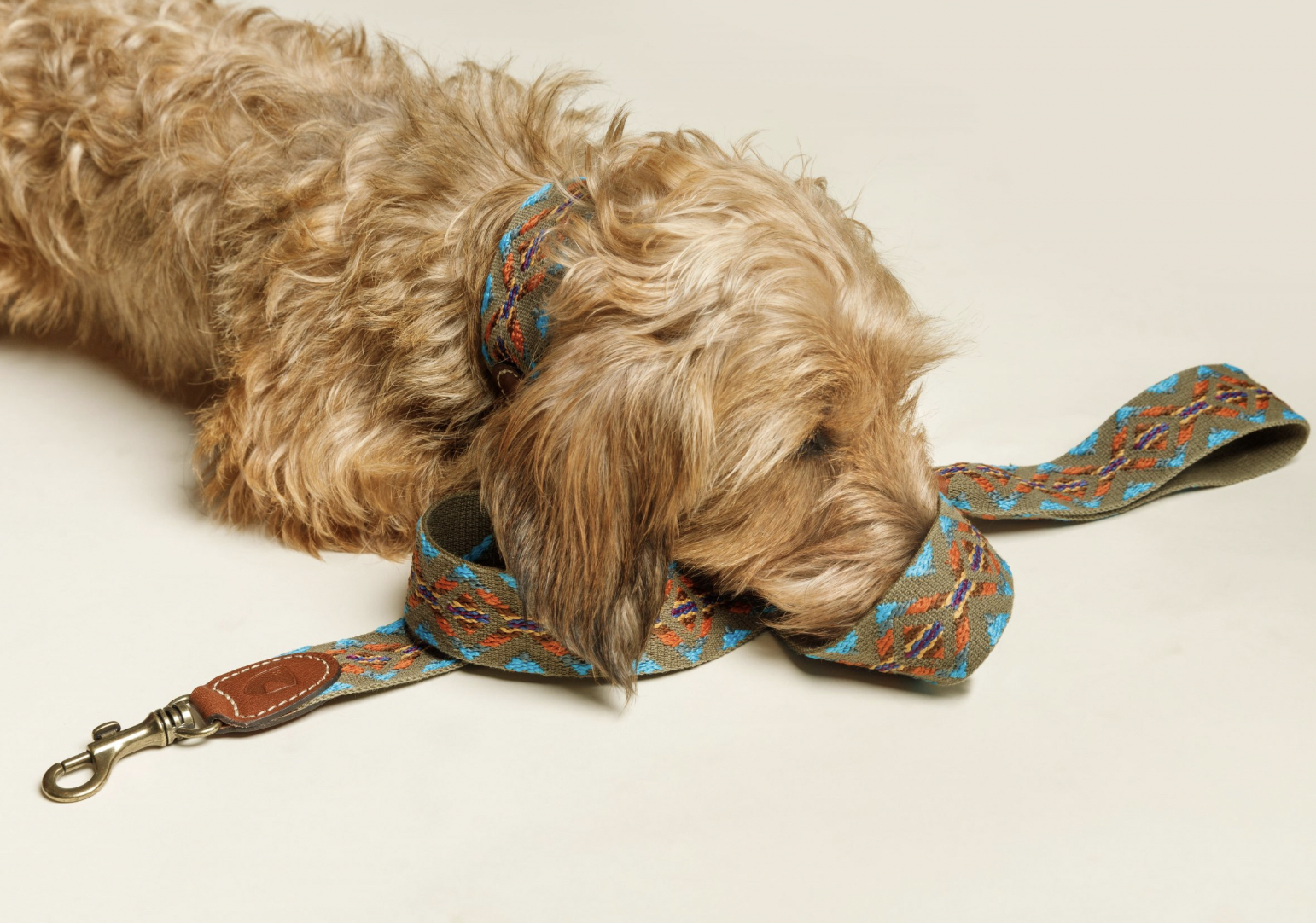 Vodítko Buddys Etna tyrkysové nastavitelné