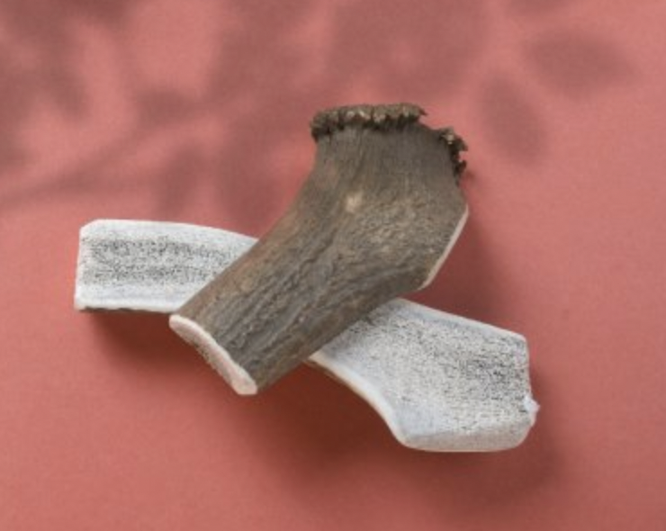 Jelení paroh pro psy půlený