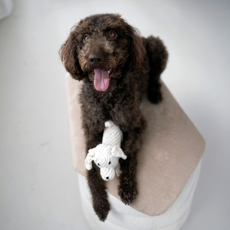 !!!Hračka pro psy LABONI retrívr Richie