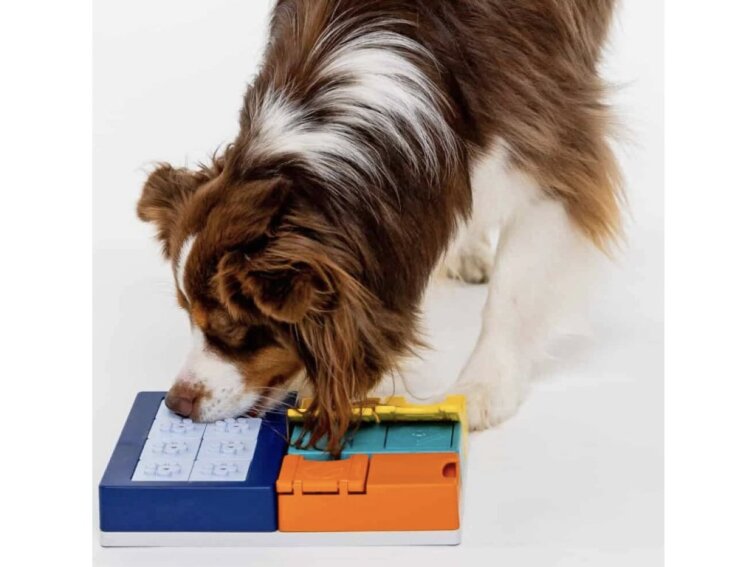 !!!Pawzler Hlavolam pro psy Smarty set