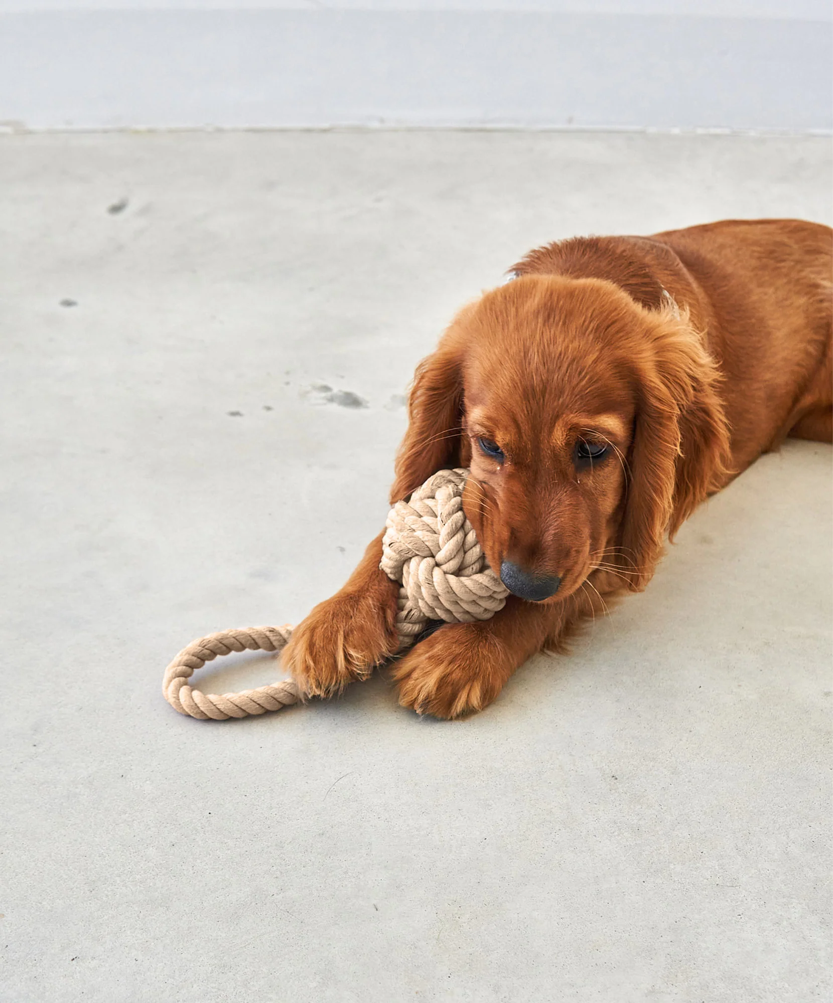 !!!Lanová hračka pro psy MiaCara Nodo natural