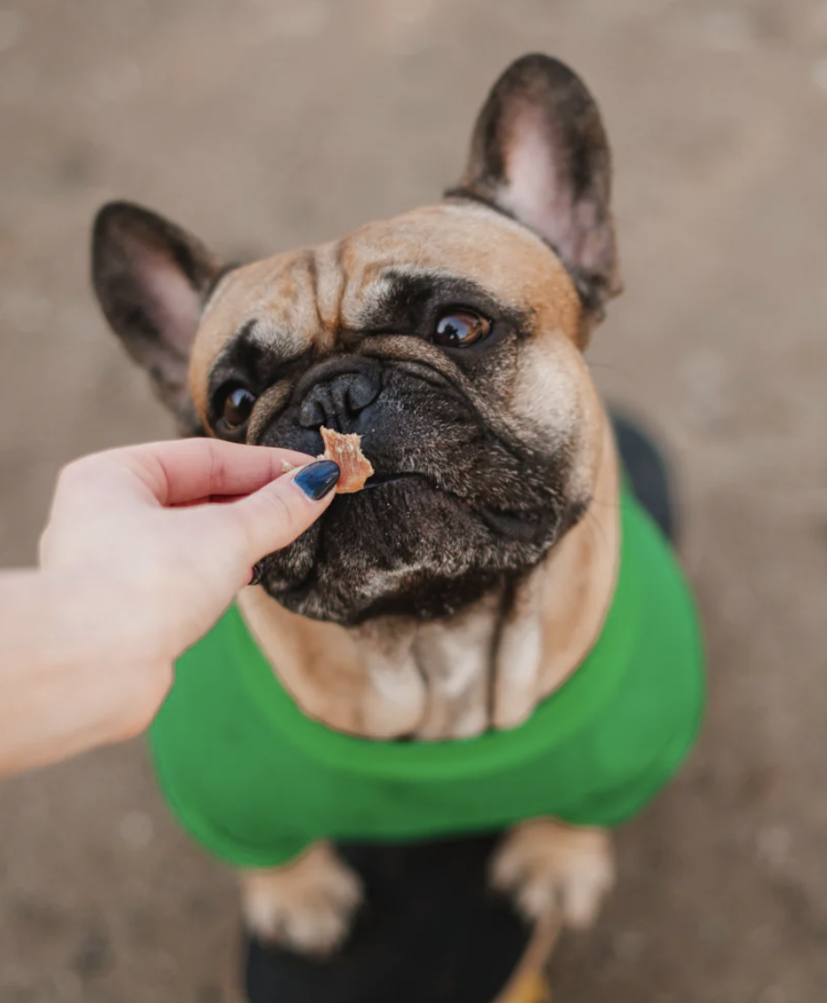 Masíčka Vepřová kotleta Čumák 100g