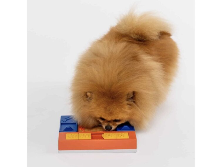 !!!Pawzler Hlavolam pro štěňata